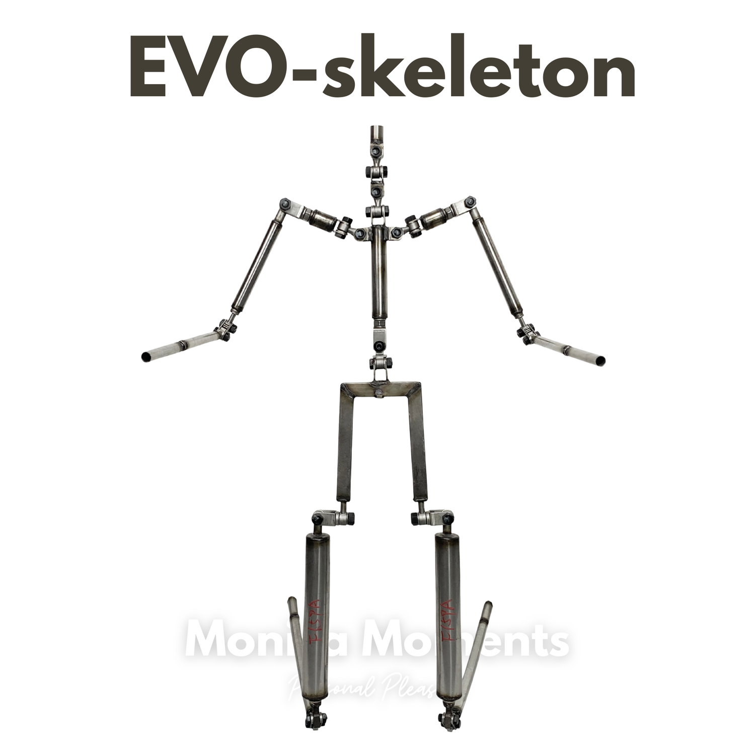 Evo skeleton of a sex doll