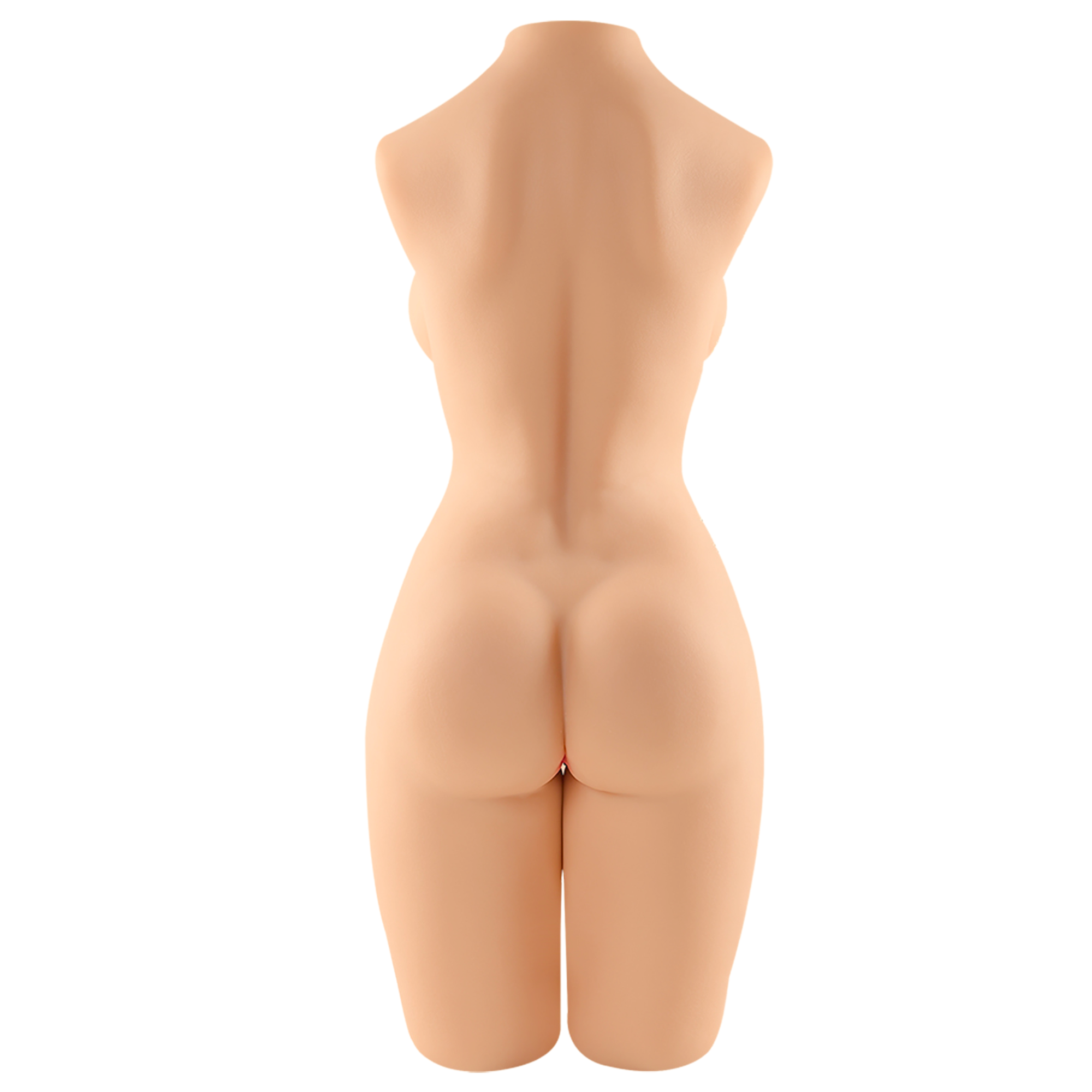 Realistic torso sex doll butt photo on white background