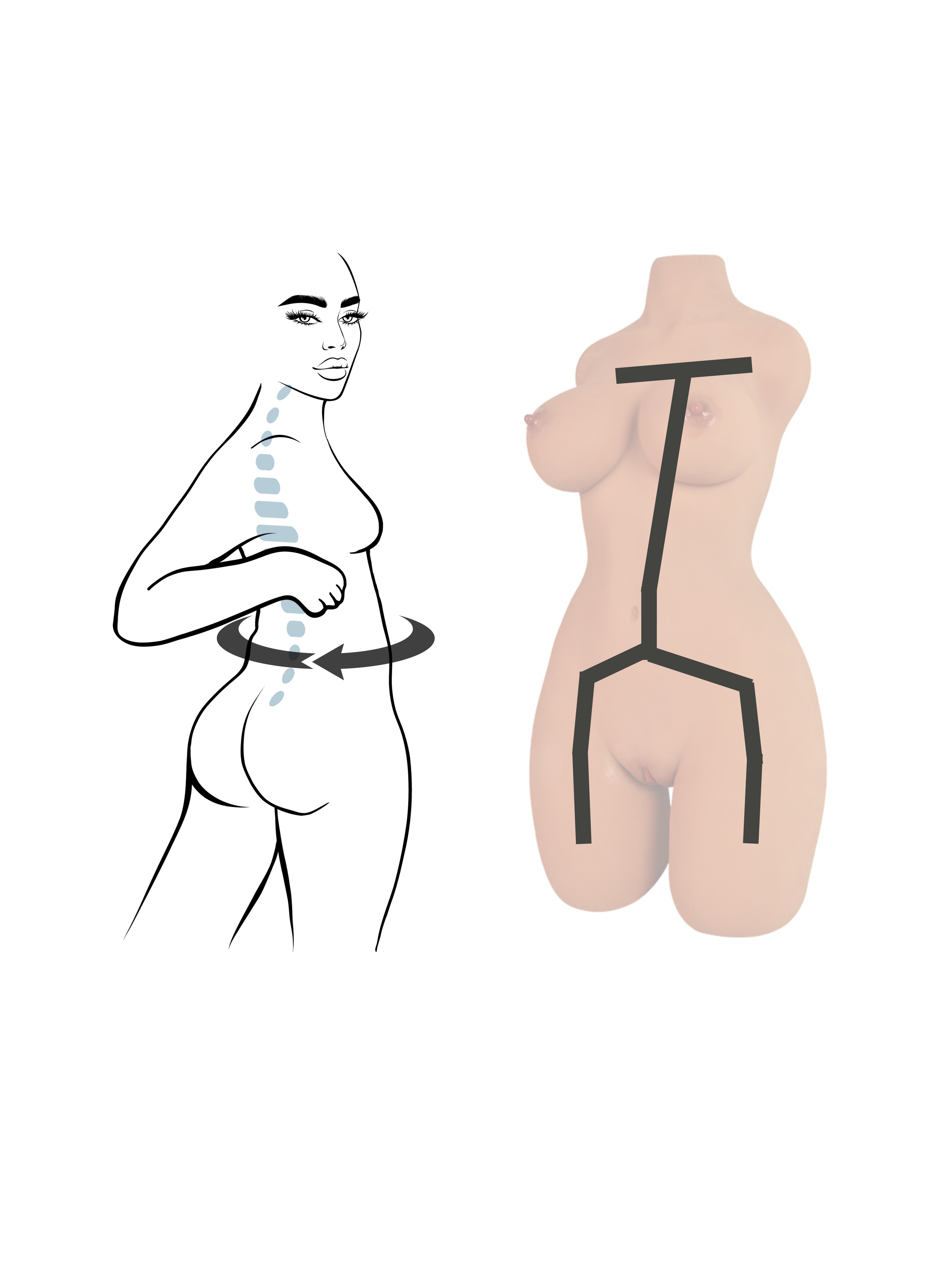 sexdoll torso skeleton display