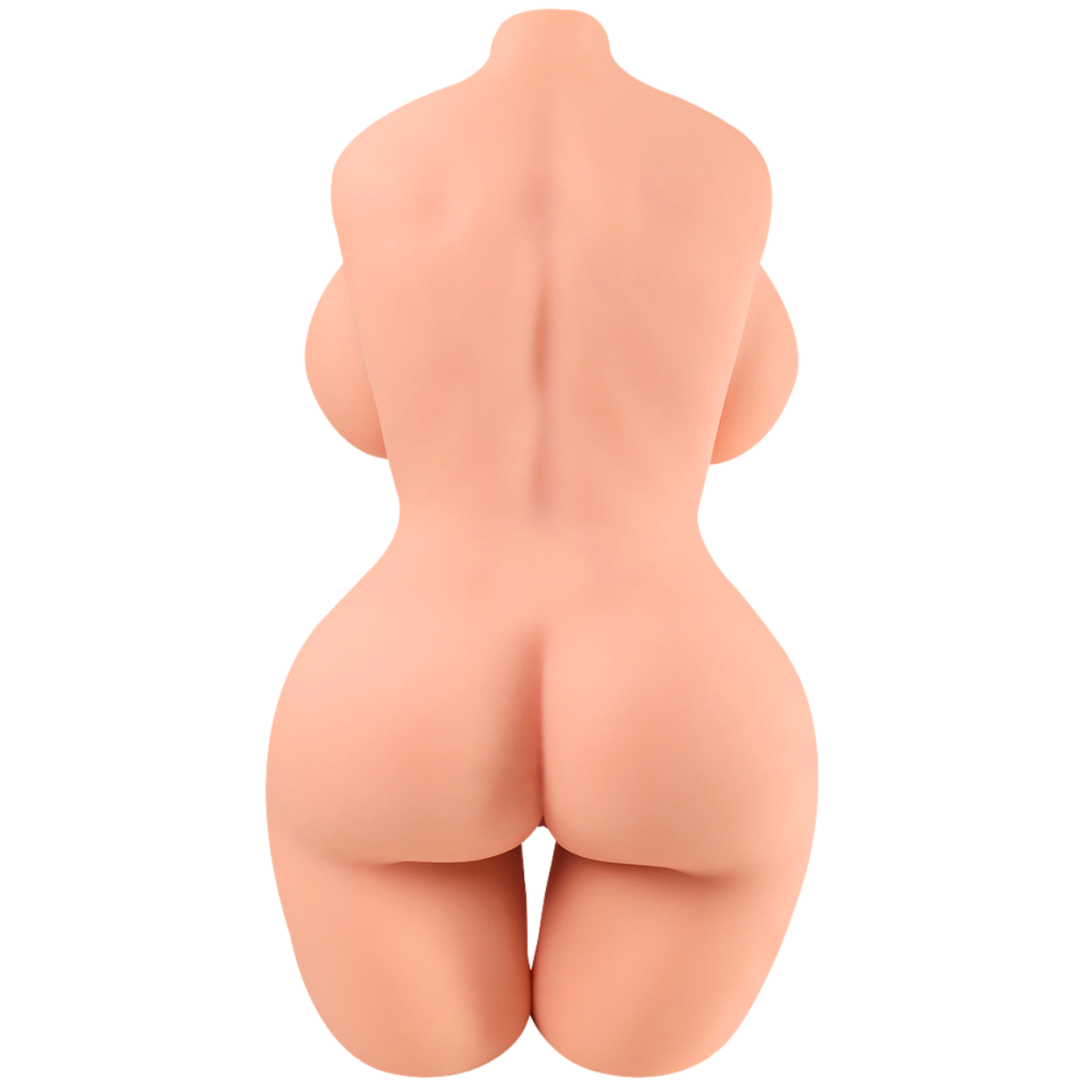 torso sexdoll on white background back side