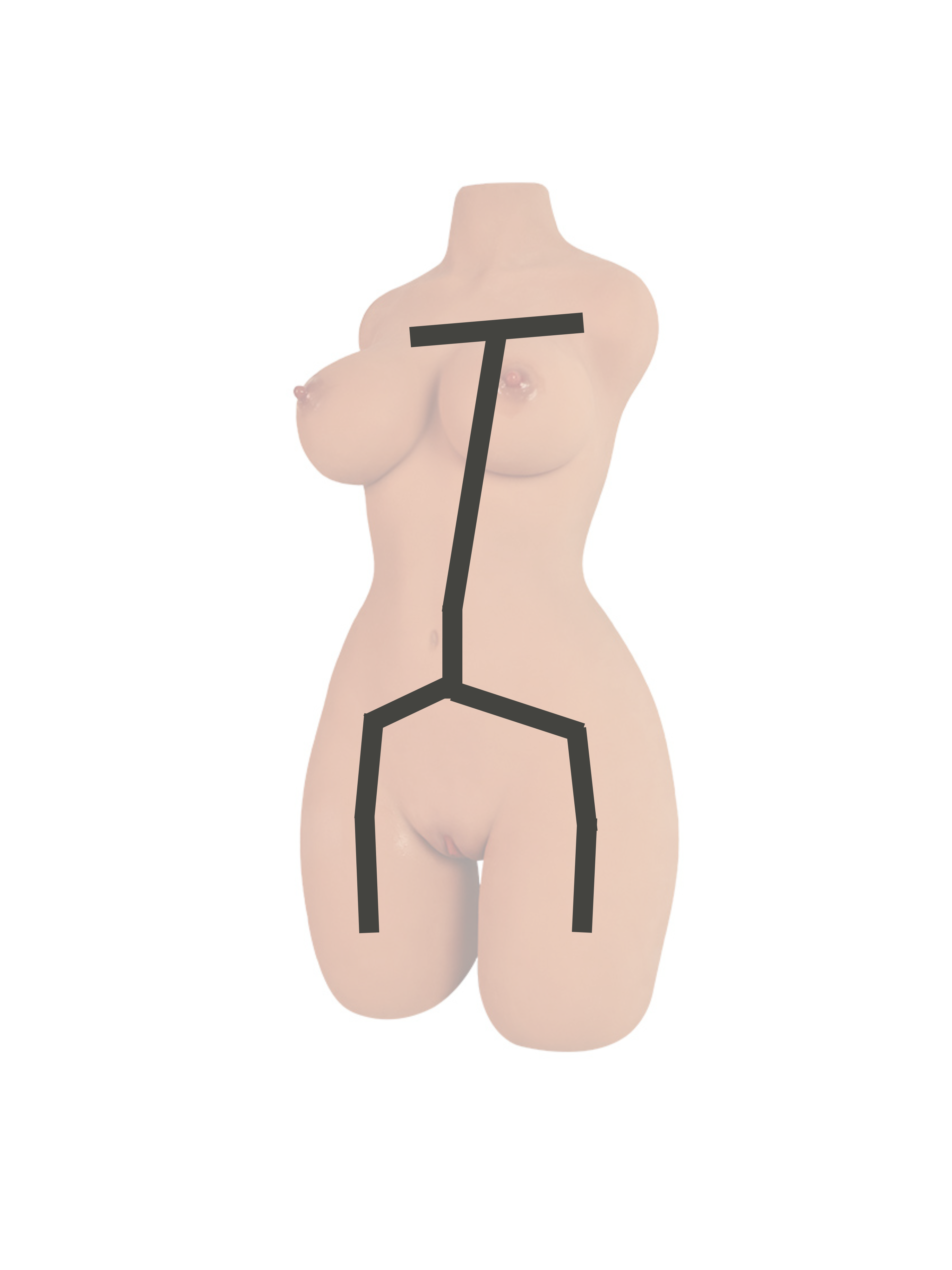 Sexdoll torso Jenny skeleton