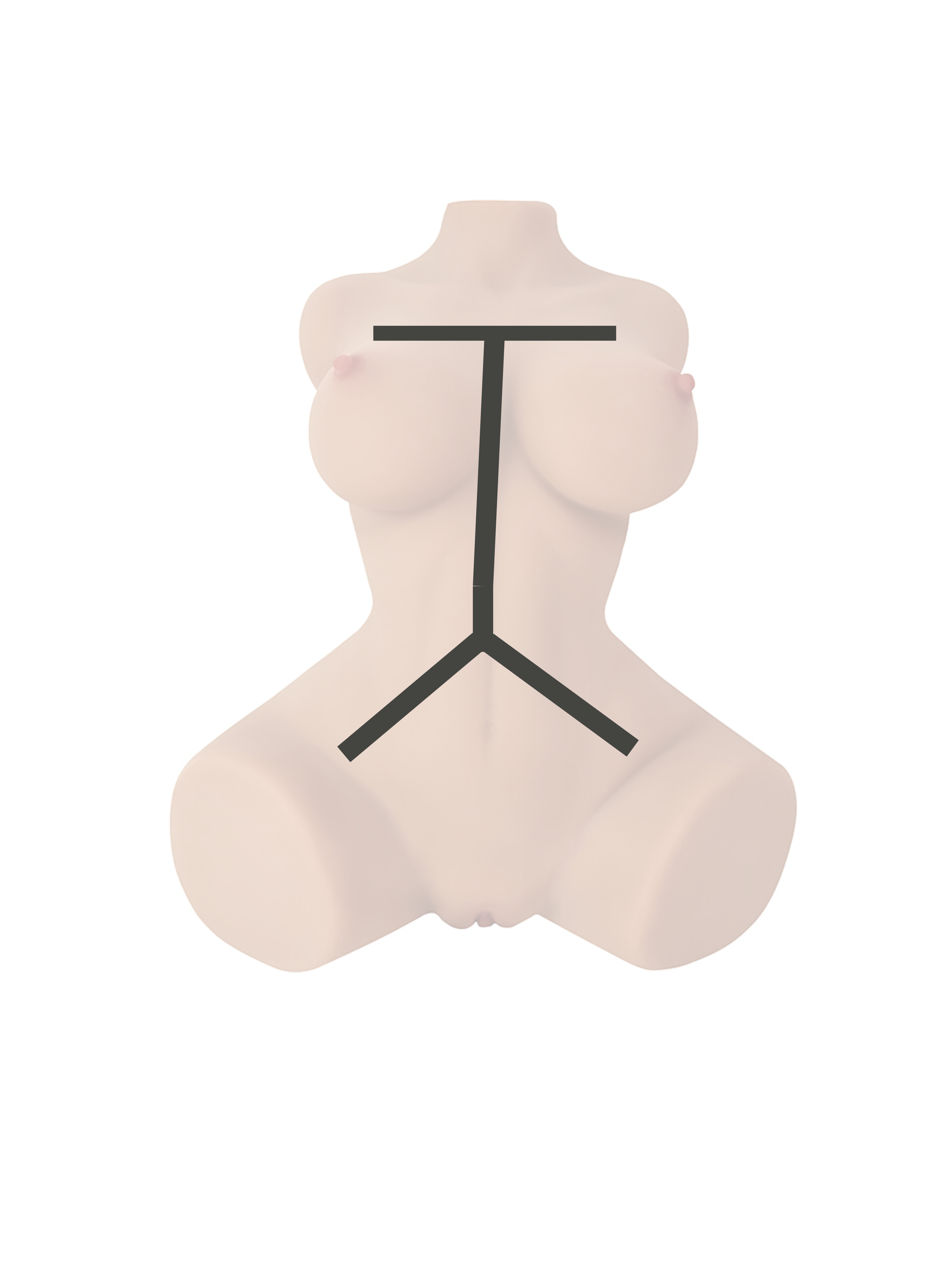 Torso sexdoll TPE with skeleton