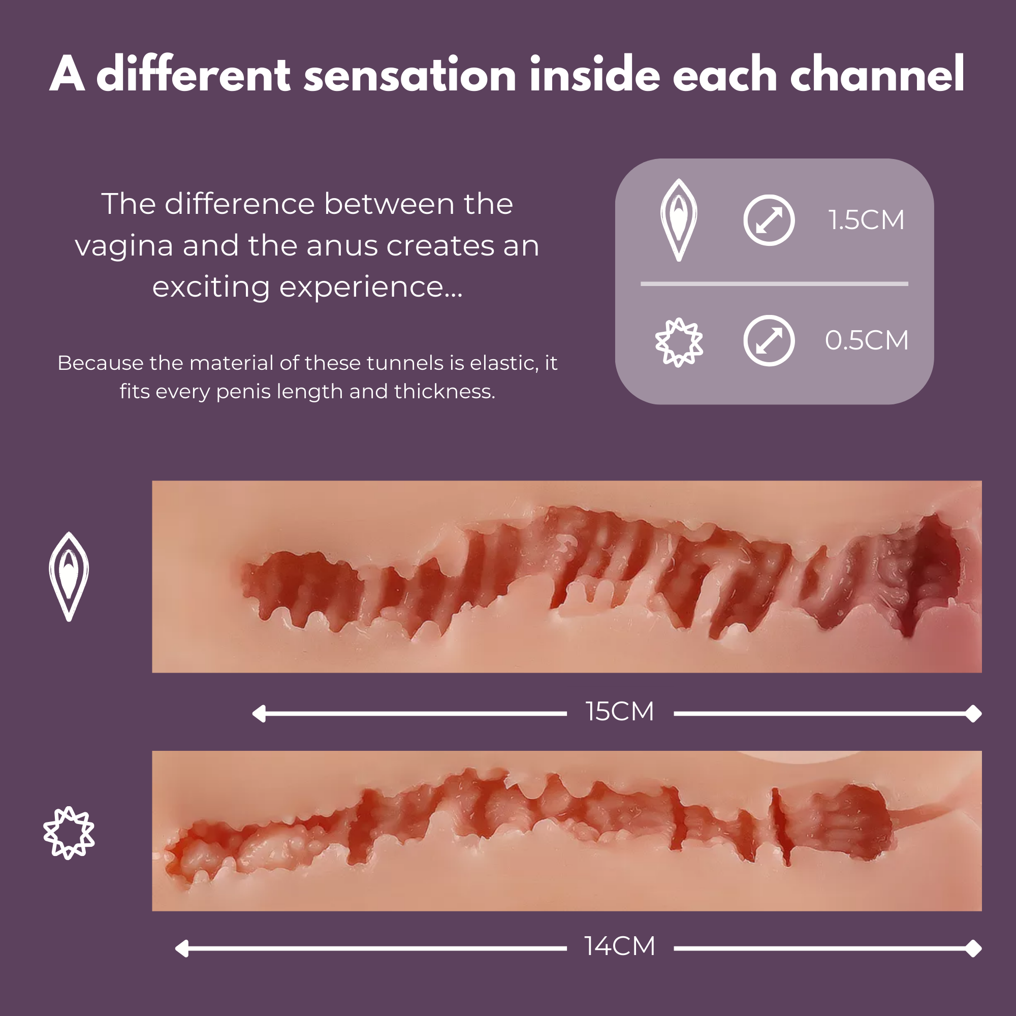 Diagram showing the difference between the sexdoll vagina and anus with measurements on a purple background.
