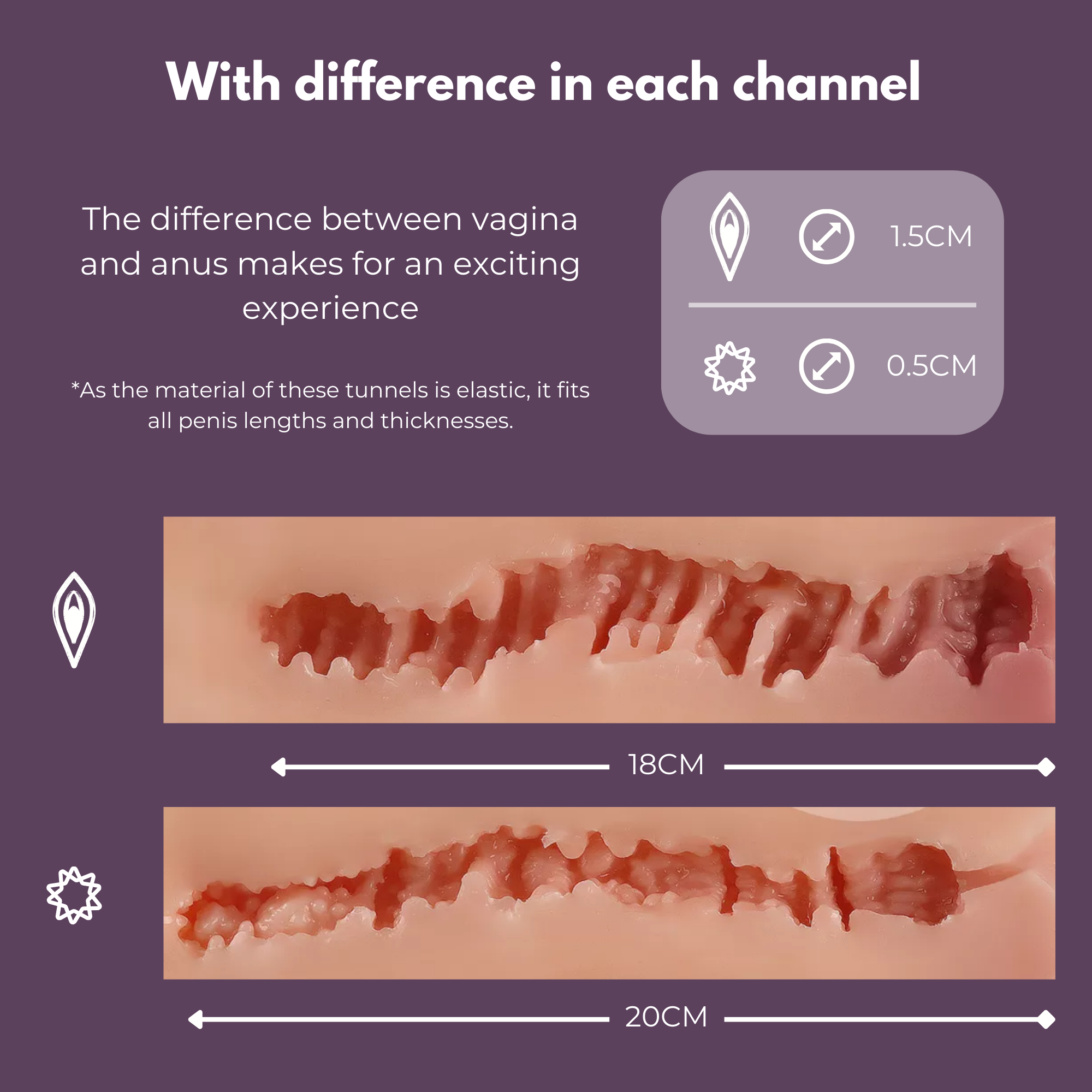vagina and anus channel of a sexdoll torso